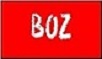 Boz